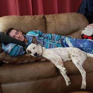 Meet your Posher, Hayden